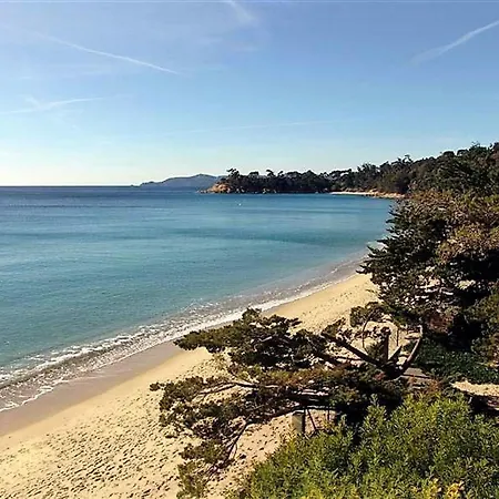Duplex Avec Piscine, 3 Pieces Cabine, 6 Couchages, Terrasses Et Parking Proche - - Fr-1-251-536 Le Lavandou